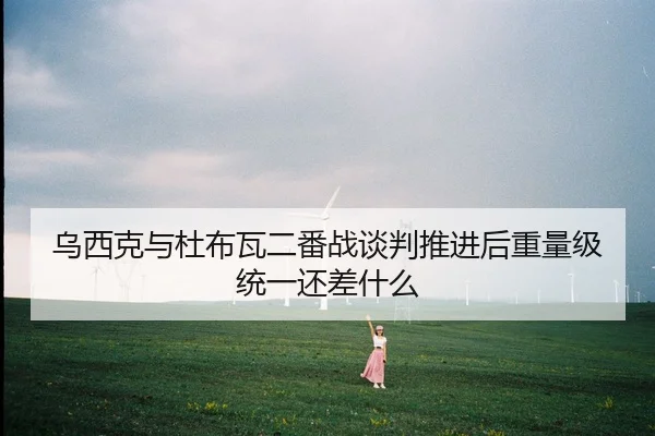 乌西克与杜布瓦二番战谈判推进后重量级统一还差什么