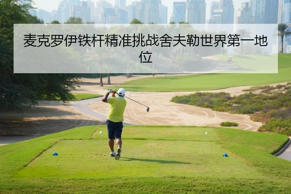 麦克罗伊铁杆精准挑战舍夫勒世界第一地位